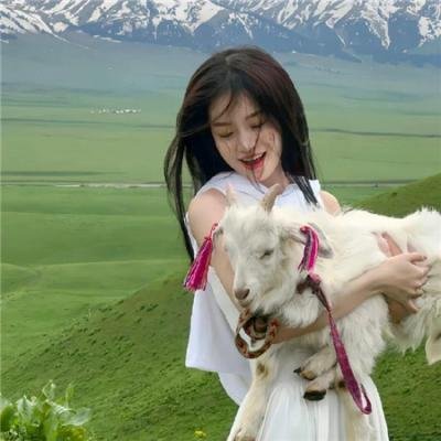 关于我家的一切